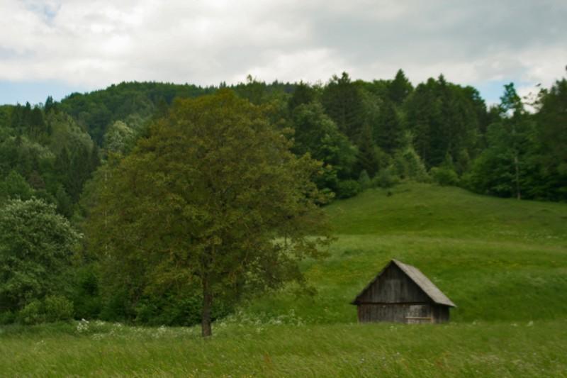 Apartments Torkar Bled Zewnętrze zdjęcie