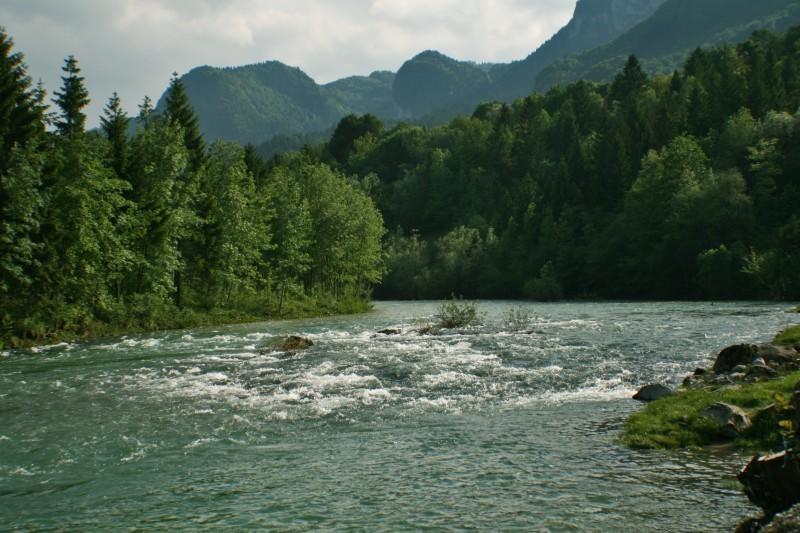 Apartments Torkar Bled Zewnętrze zdjęcie